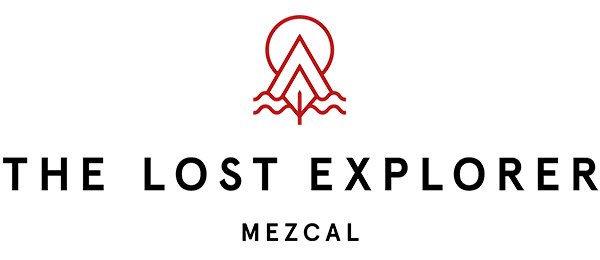 THE LOST EXPLORER