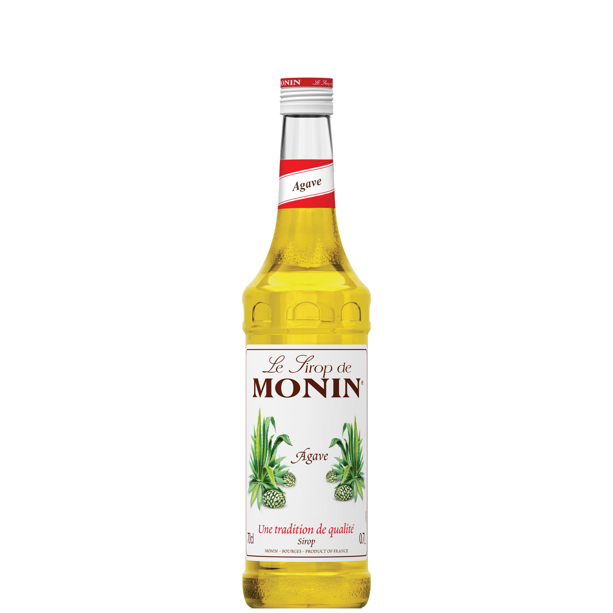 MONIN SCIROPPO AGAVE   CL 70