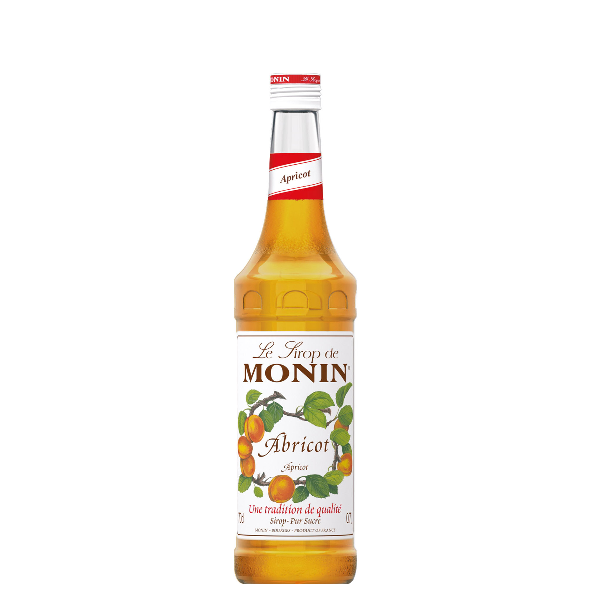 MONIN SCIROPPO ALBICOCCA  CL 70