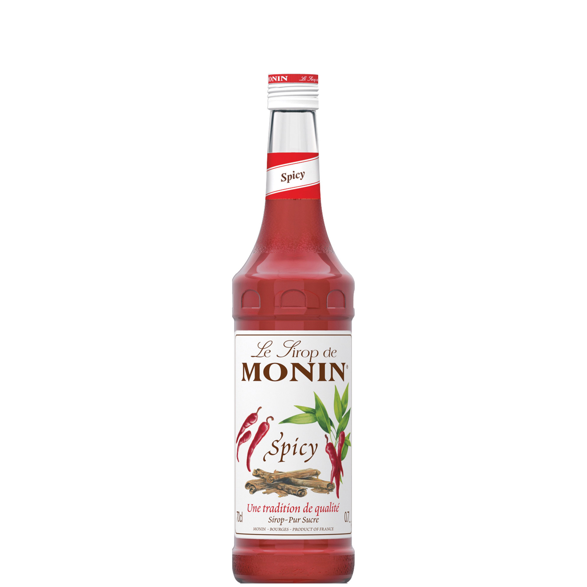 MONIN SCIROPPO CANNELLA E PEPERONCINO   CL 70
