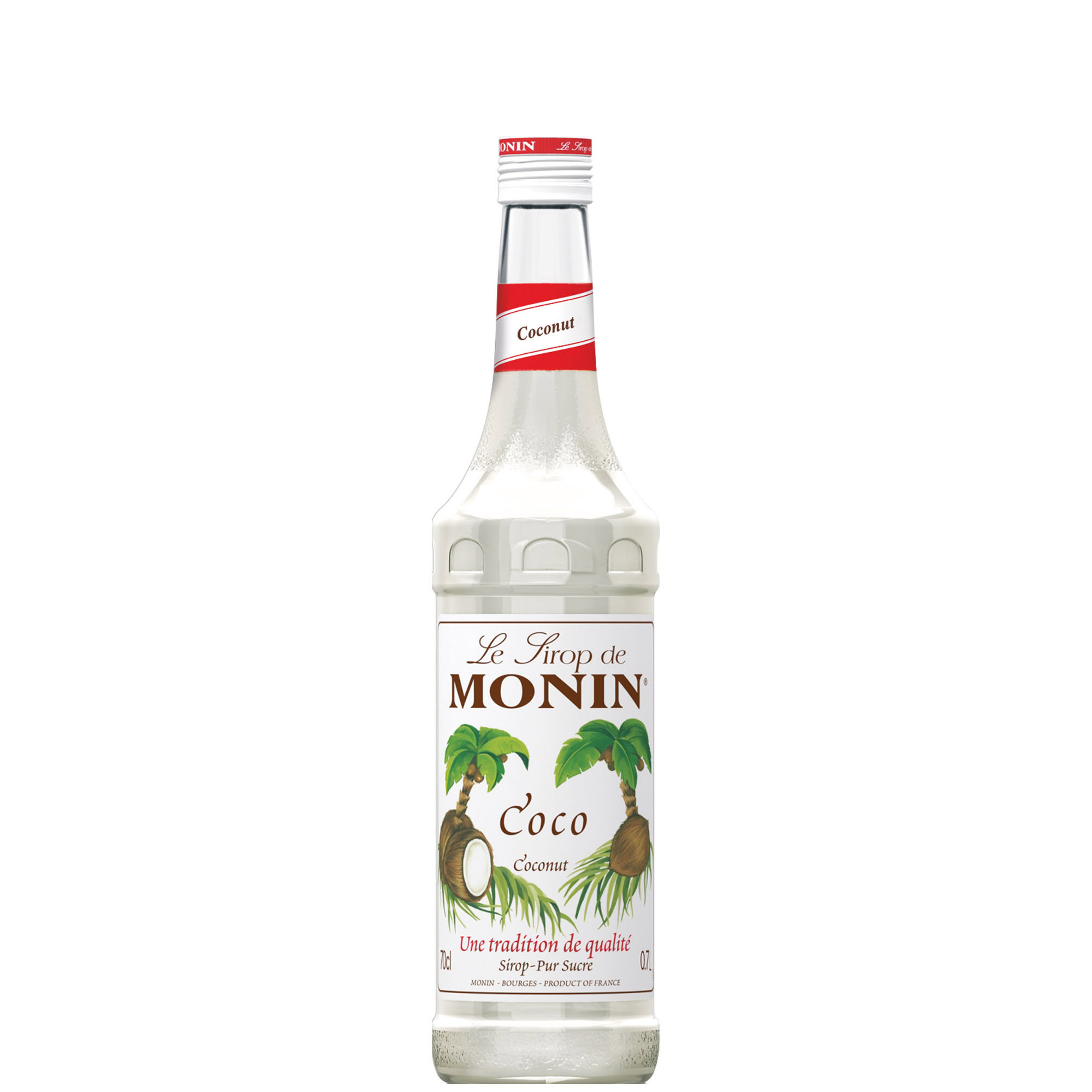 MONIN SCIROPPO COCCO CL 100 PET