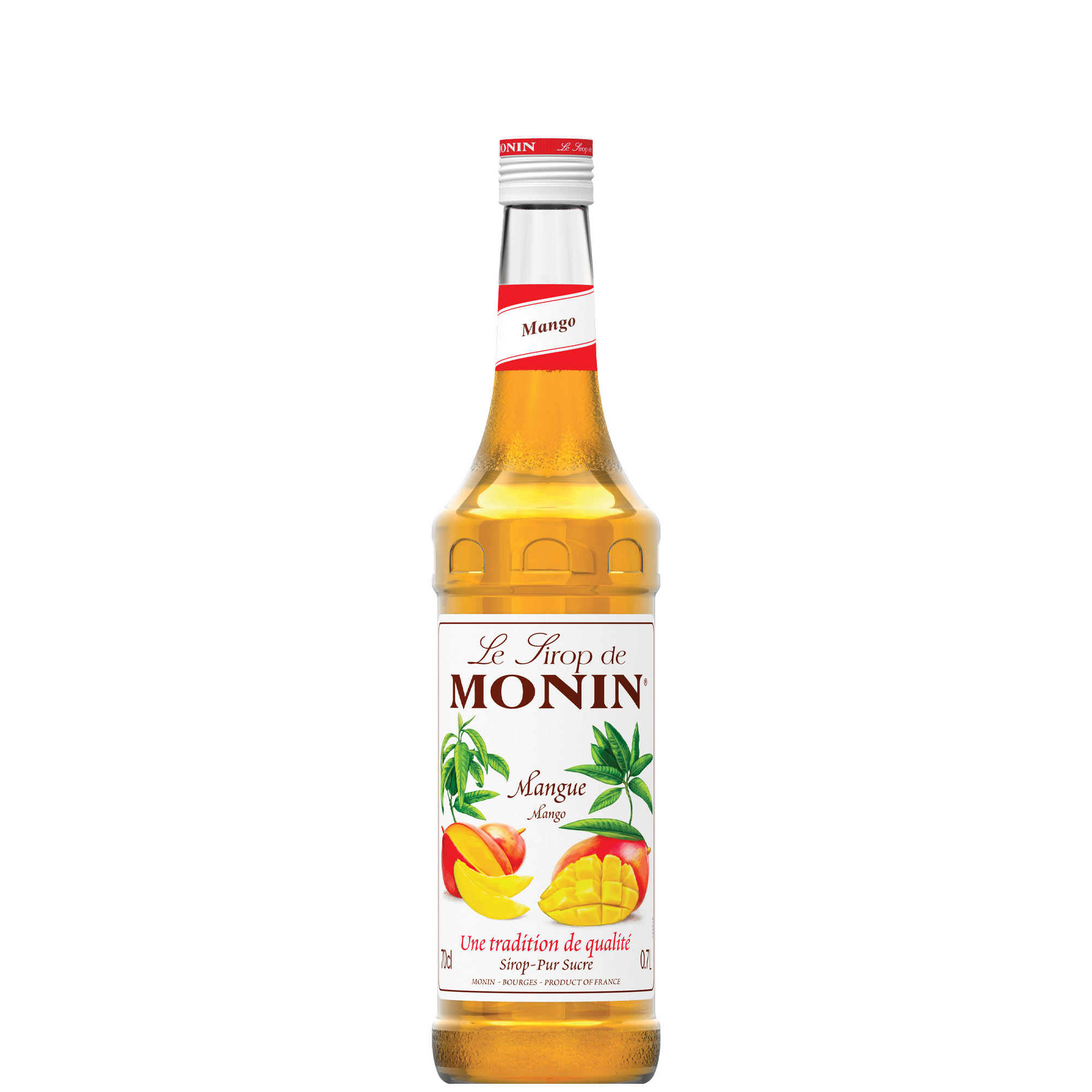 MONIN SCIROPPO MANGO  CL 70