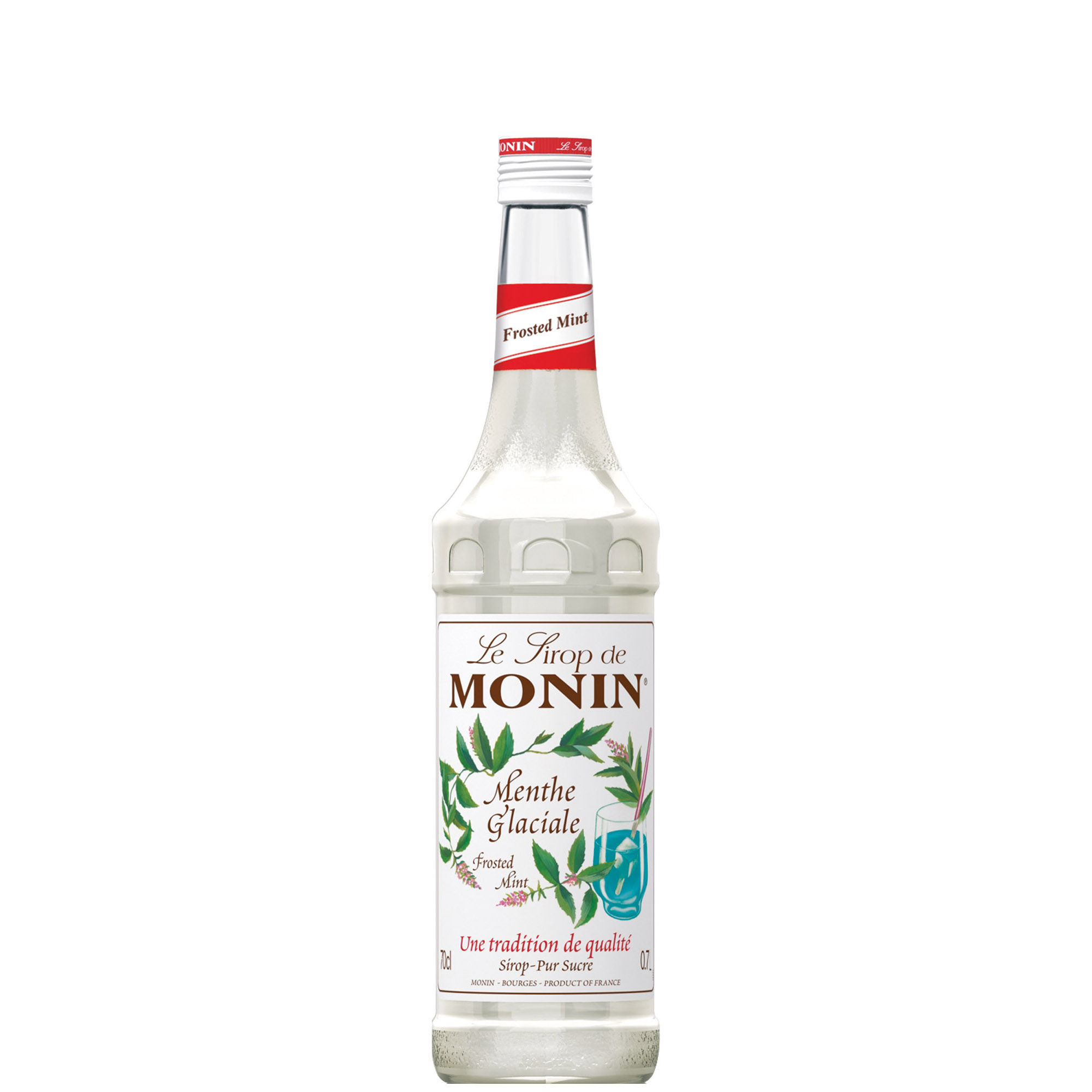 MONIN SCIROPPO MENTA BIANCA  CL 70