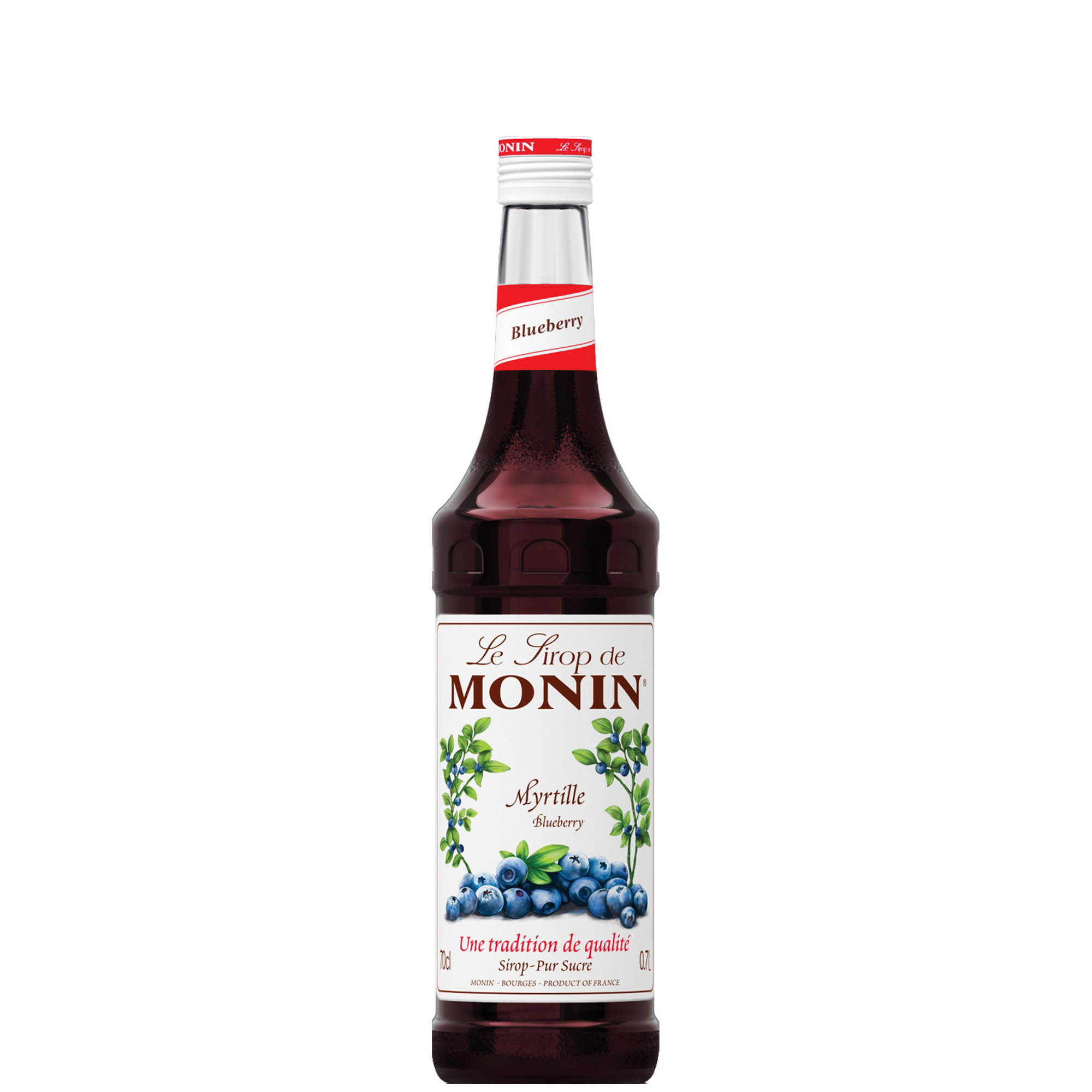 MONIN SCIROPPO MIRTILLO  CL 70
