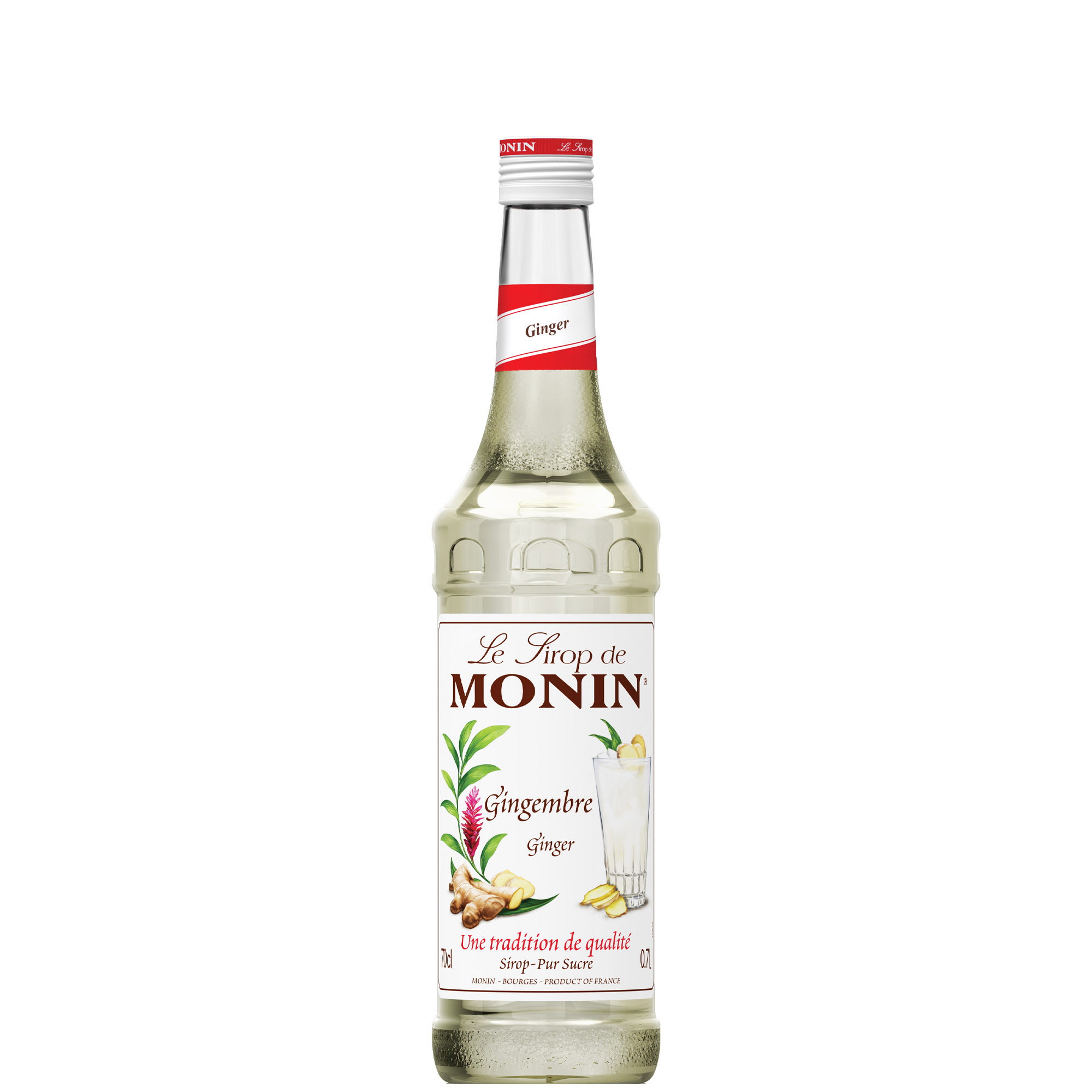 MONIN SCIROPPO ZENZERO CL 70