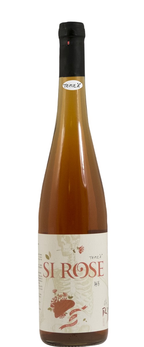 BINNER SI ROSE 2019 – 20 – 21 – 22