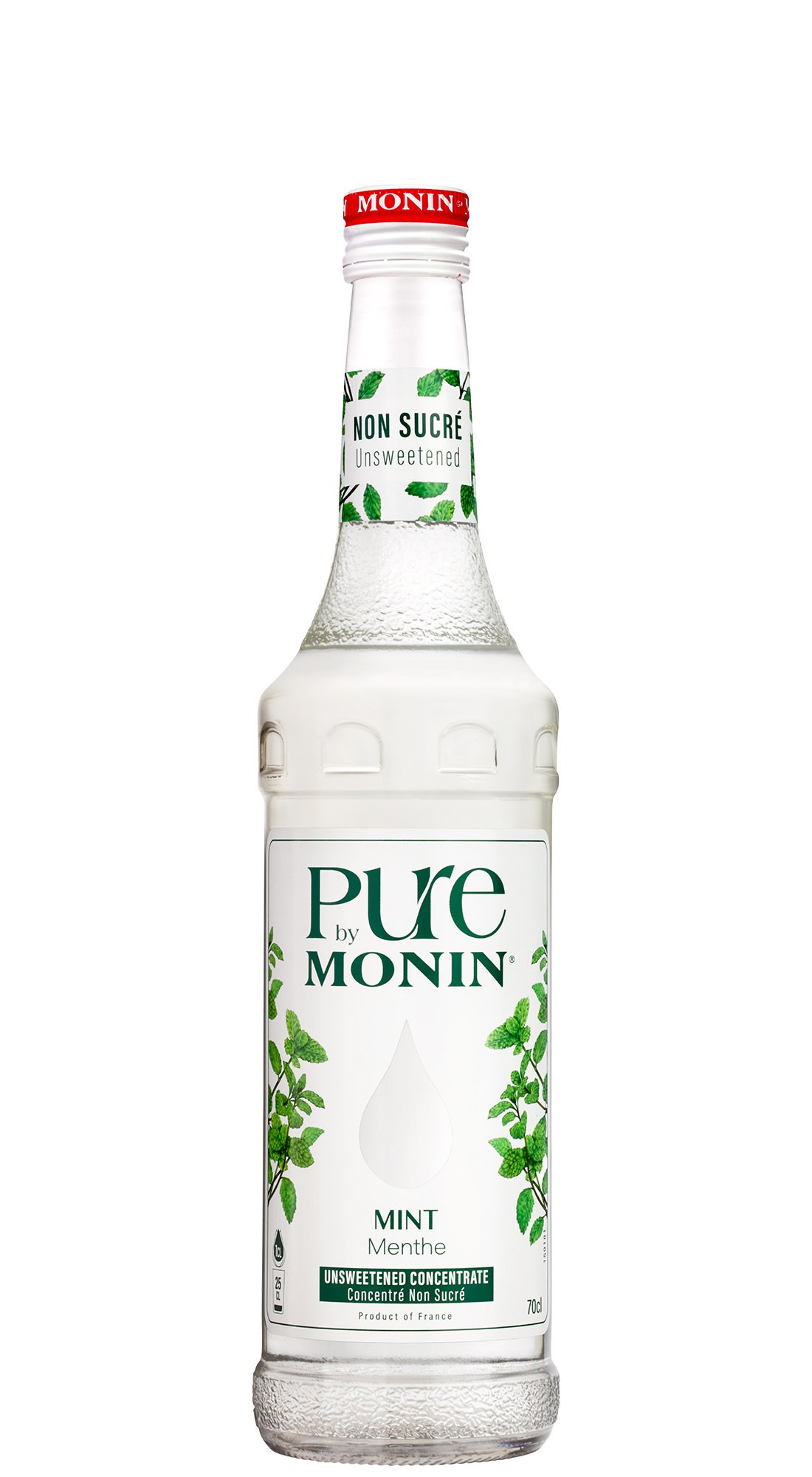 MONIN PURE MENTA CL 70