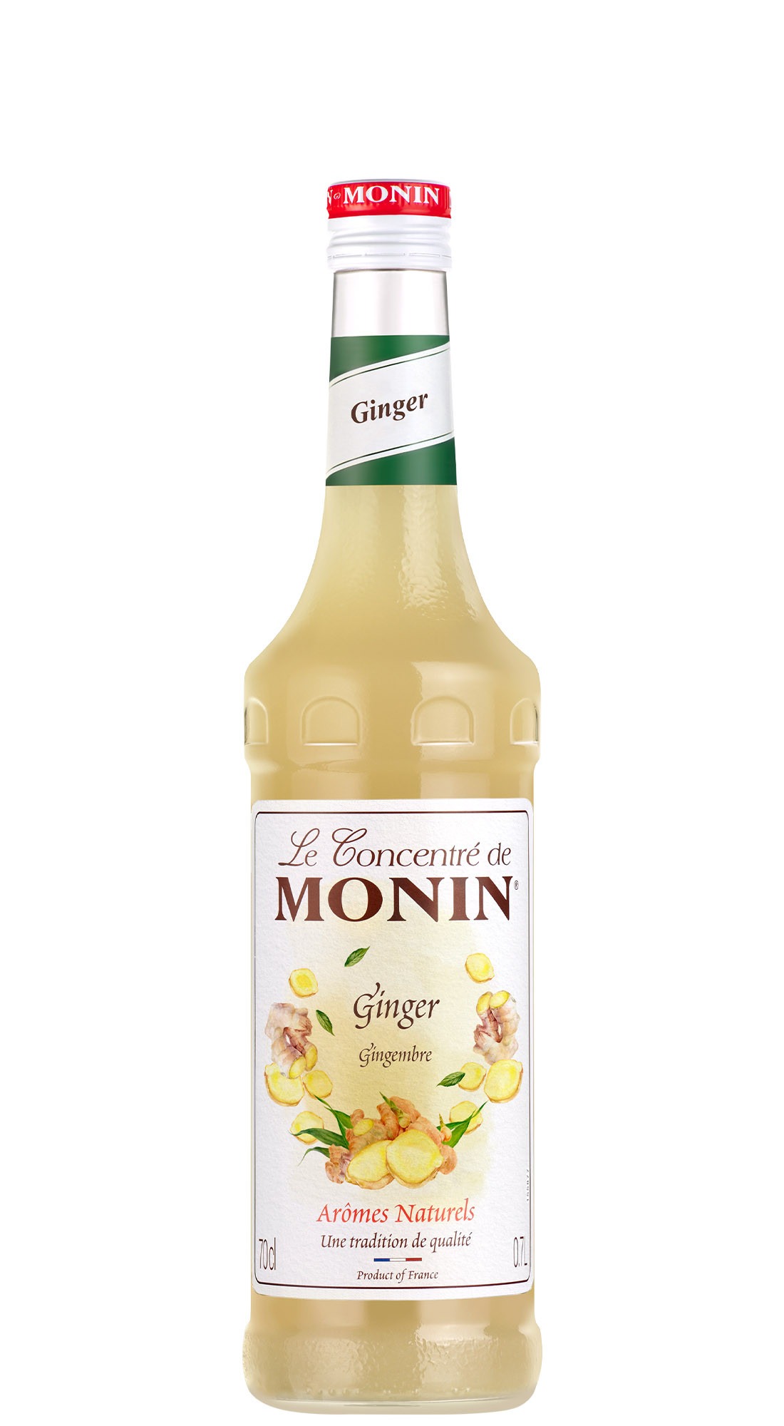 MONIN CONCENTRATO ZENZERO CL 70